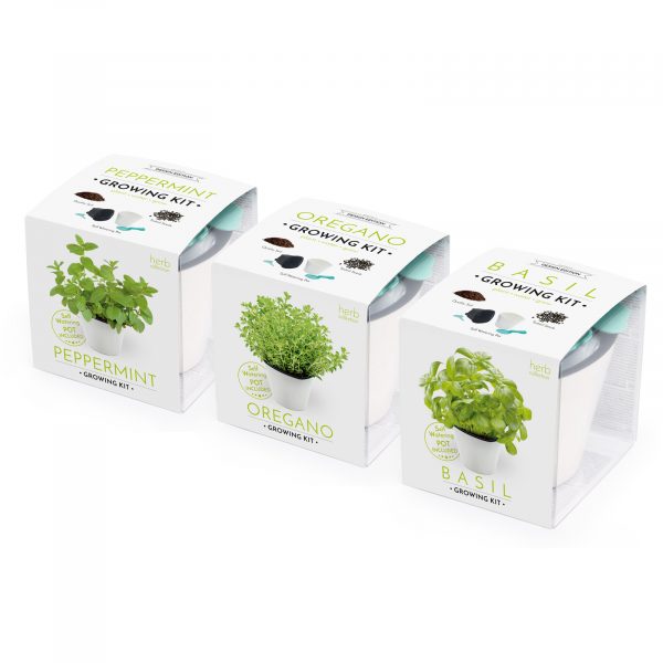 Set de cultivare oregano, mentă, busuioc - imagine 2