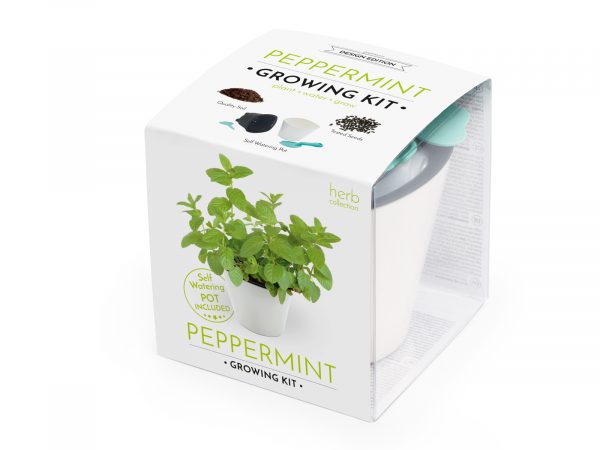 Set de cultivare oregano, mentă, busuioc - imagine 4