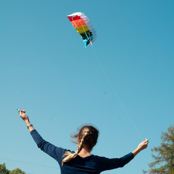 Zmeu Powerkite - imagine 6