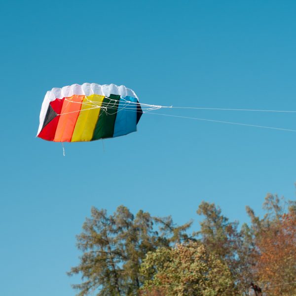 Zmeu Powerkite - imagine 4