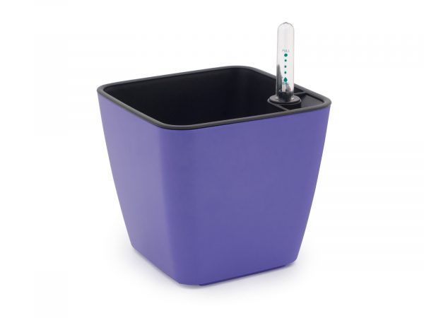 Set de cultivare lavandă - imagine 5