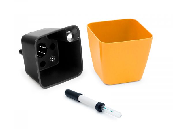 Cultivă ardei iute chilli Habanero - imagine 4