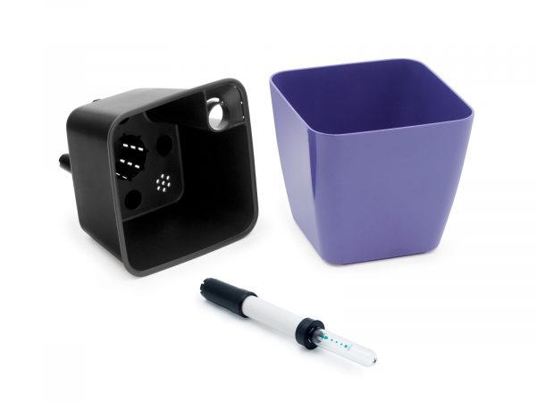 Set de cultivare lavandă - imagine 4