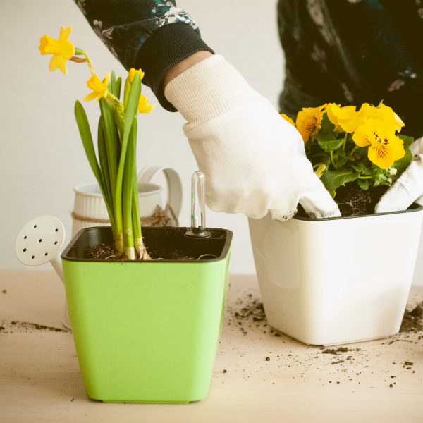 Ghiveciului cu auto-irigare GreenSun - imagine 1