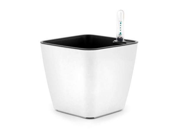 Set pentru cultivarea ierbii pentru rozătoare - imagine 3