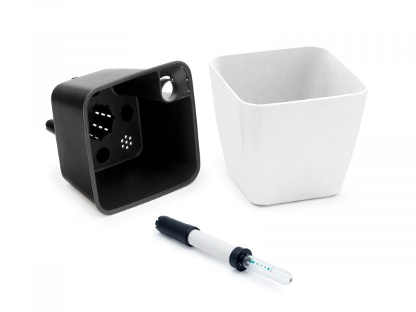 Set pentru cultivarea ierbii pentru rozătoare - imagine 4