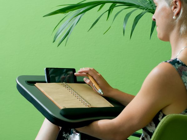 !DSC_5226 Suport pentru notebook, tabletă și smartphone "Steel" - imagine 8