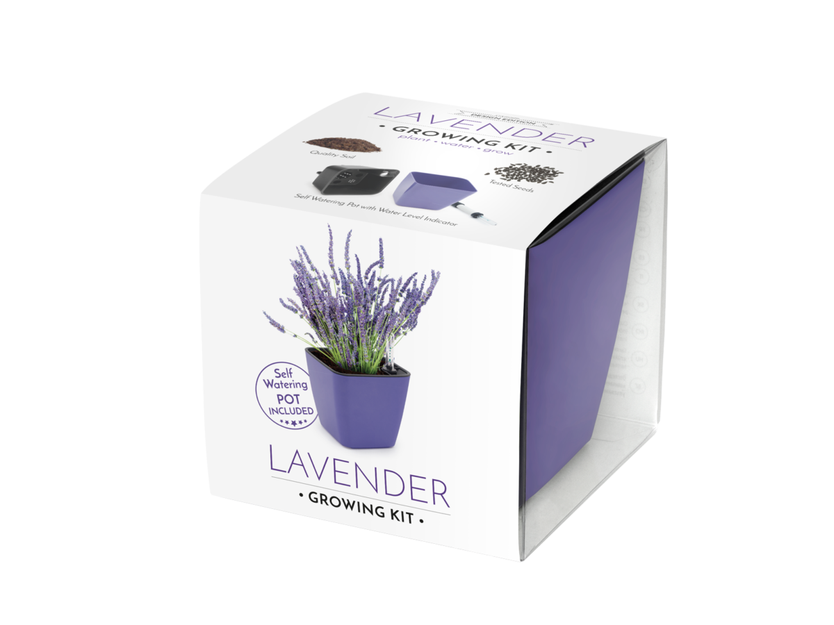 _GRW_RA1313_fotoSource_BOX_Lavender