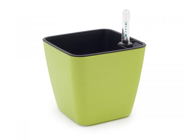 Set de cultivare oregano - imagine 3