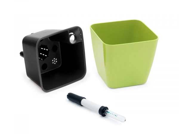 Set de cultivare oregano - imagine 4