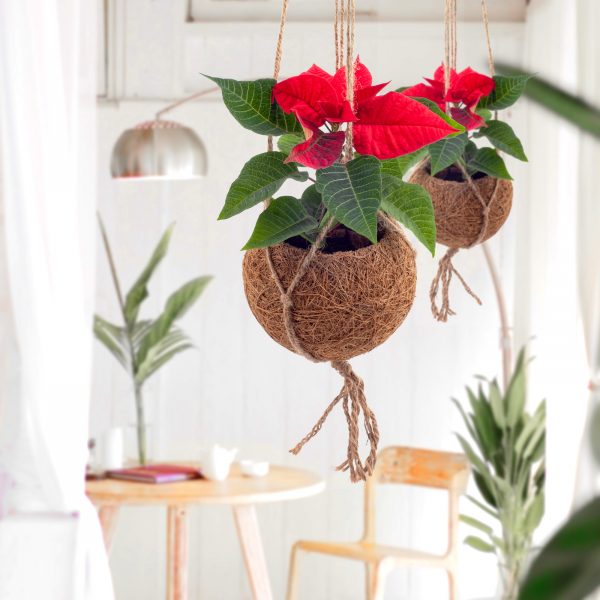 Vas decorativ KOKODAMA pentru ghiveciul cu flori, din fibră de nucă de cocos - imagine 8