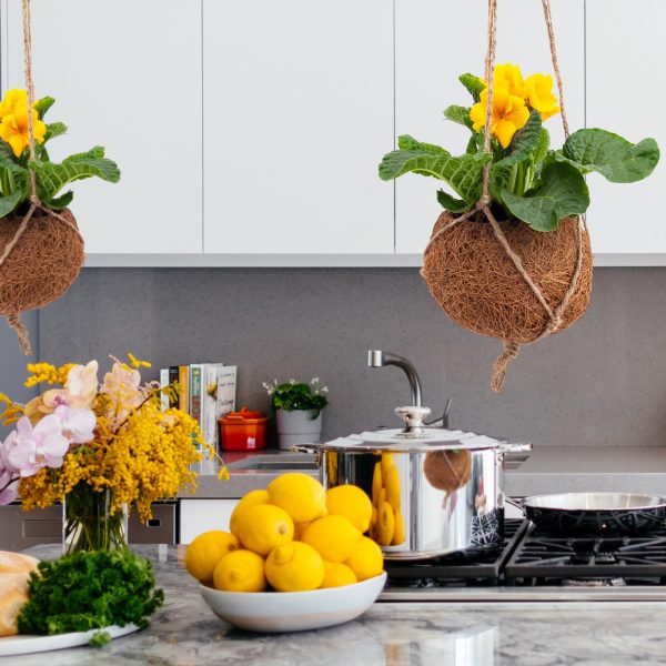 Vas decorativ KOKODAMA pentru ghiveciul cu flori, din fibră de nucă de cocos - imagine 2