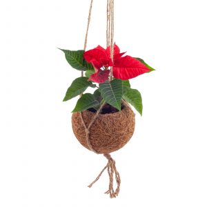 Vas decorativ KOKODAMA pentru ghiveciul cu flori, din fibră de nucă de cocos - imagine 5