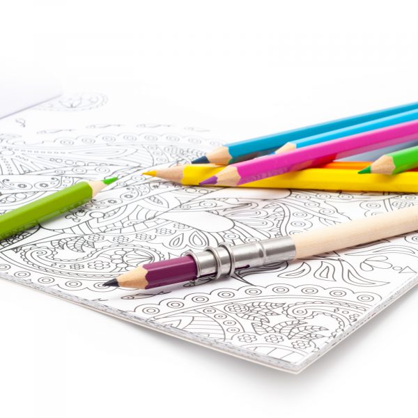 _36-kusu-omalovanky-pasteky2 Culori Cuculo, într-o carcasă cu motiv ANIMALS care se rulează, cu ascuțitoare și extensie pentru a le lungi, 36 de bucăți, cărți de colorat anti-stres GRATUIT - imagine 5