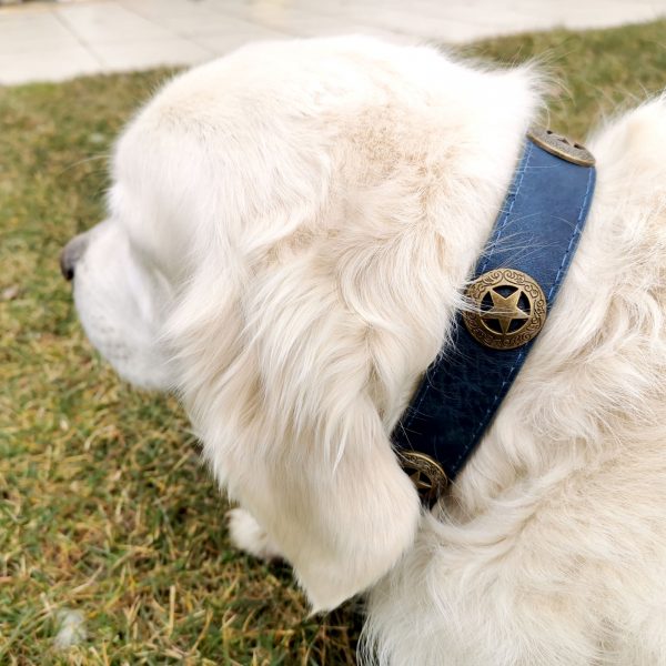 Zgardă STAR, piele ecologică, albastră, Domestico - imagine 3