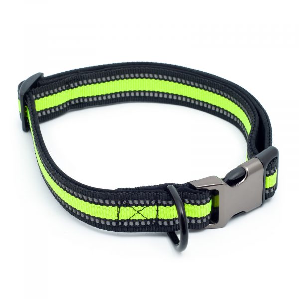 Set - lesă reflectorizantă și zgardă reflectorizantă VISIBLE, verde, dimensiune S-L,  Domestico - imagine 2