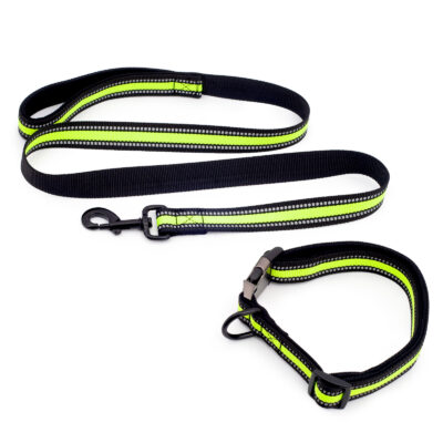 Set - lesă reflectorizantă și zgardă reflectorizantă VISIBLE, verde, dimensiune S-L,  Domestico