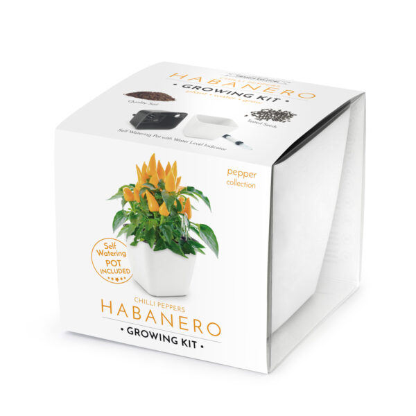 _GRW_RA1313_BOX_HABANERO-White Cultivă ardei iute chilli Habanero - imagine 1