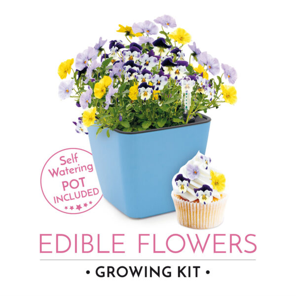 RA1313_Blue_EdibleFl-LabelFront Cultivă flori comestibile - imagine 3