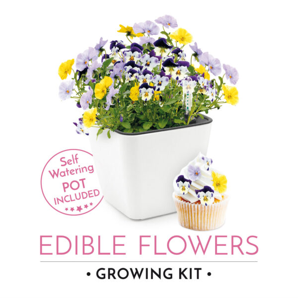 Cultivă flori comestibile - imagine 3