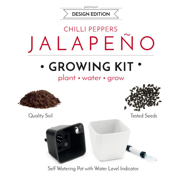 Cultivă ardei iute chilli Jalapeno, Habanero SET DUBLU - imagine 6