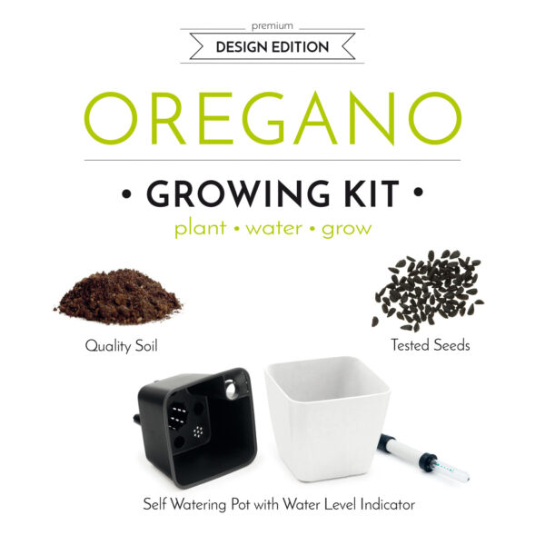 Set de cultivare oregano - imagine 4