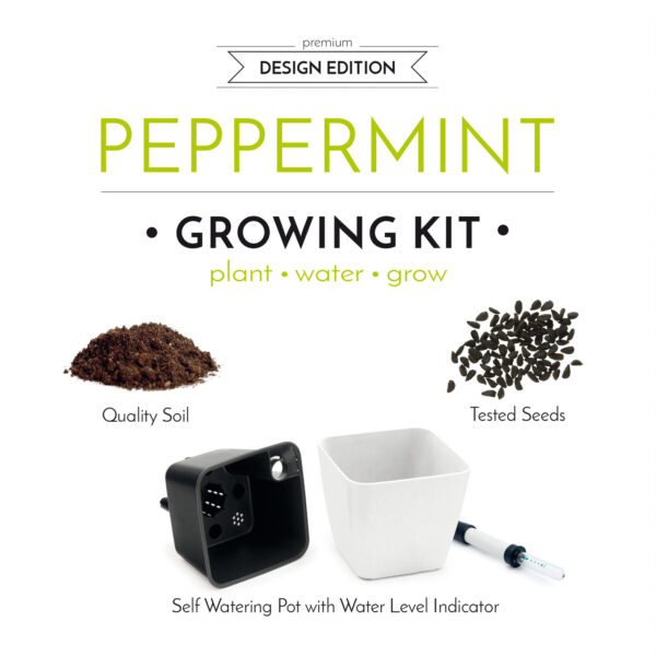 Set de cultivare mentă - imagine 4