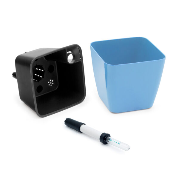 RA1313_parts2_BlackIn_Modry Cultivă flori comestibile - imagine 7