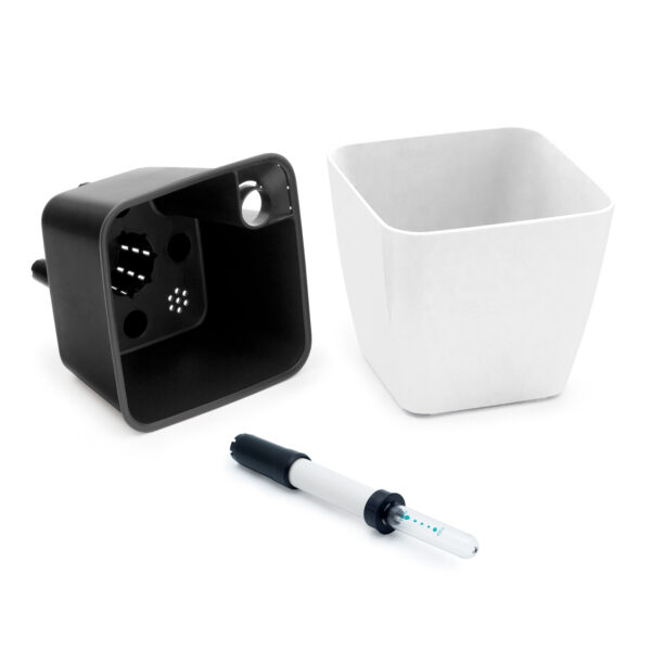 RA1313_parts2_BlackIn_WHITE Cultivă ardei iute chilli Habanero - imagine 7