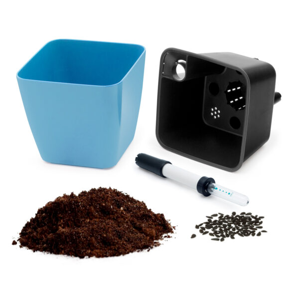 RA1313_partsAll_BlackIn_Blue Cultivă flori comestibile - imagine 6