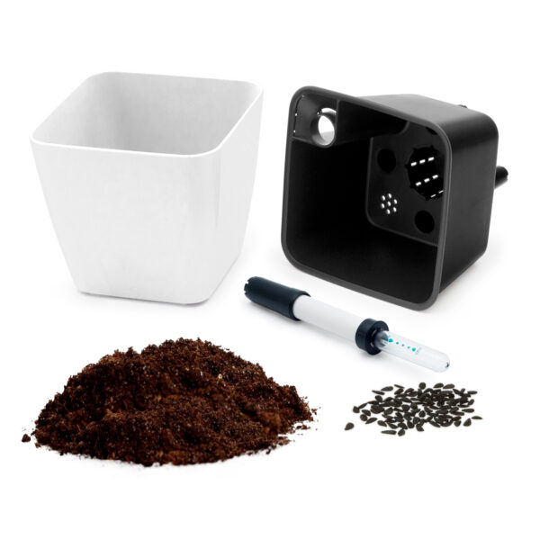 RA1313_partsAll_BlackIn_WHITE Cultivă ardei iute chilli Habanero - imagine 6